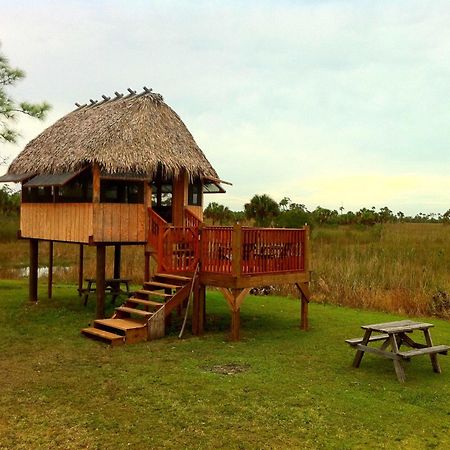 Everglades Chickee Cottage & Bungalow - Ochopee Ngoại thất bức ảnh