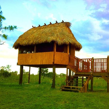 Everglades Chickee Cottage & Bungalow - Ochopee Ngoại thất bức ảnh