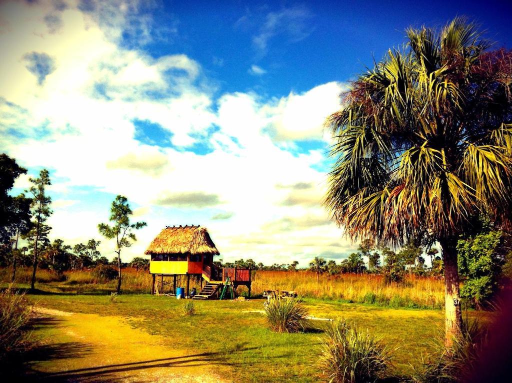 Everglades Chickee Cottage & Bungalow - Ochopee Phòng bức ảnh