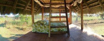 Everglades Chickee Cottage & Bungalow - Ochopee Ngoại thất bức ảnh