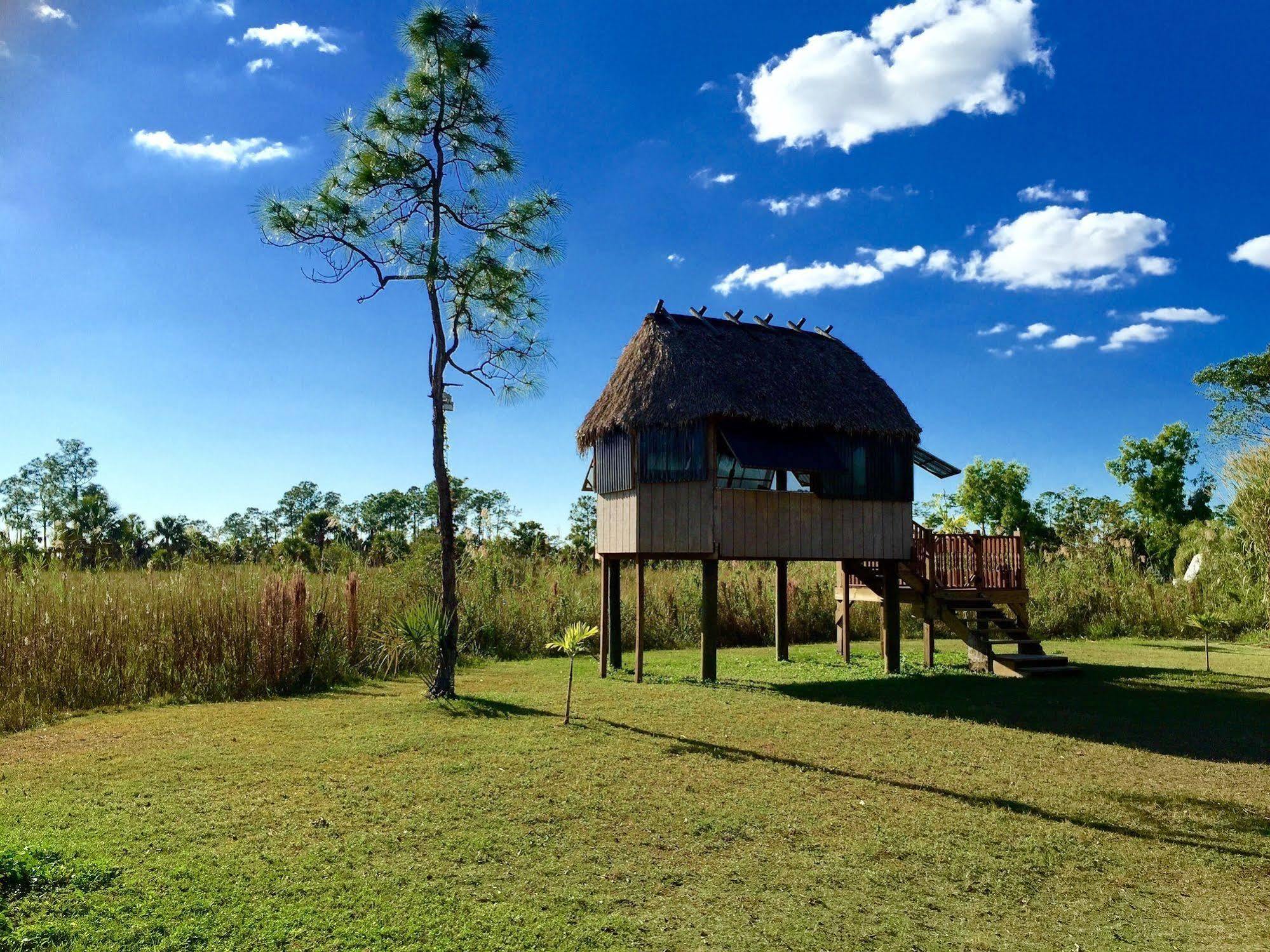 Everglades Chickee Cottage & Bungalow - Ochopee Ngoại thất bức ảnh