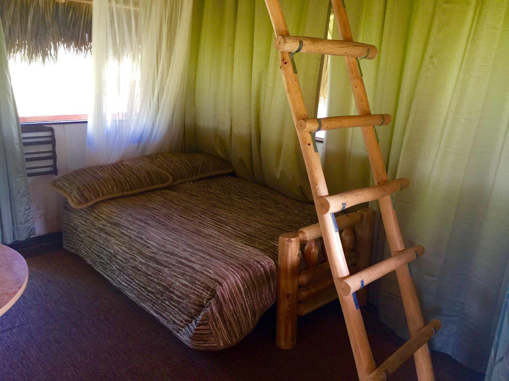Everglades Chickee Cottage & Bungalow - Ochopee Ngoại thất bức ảnh