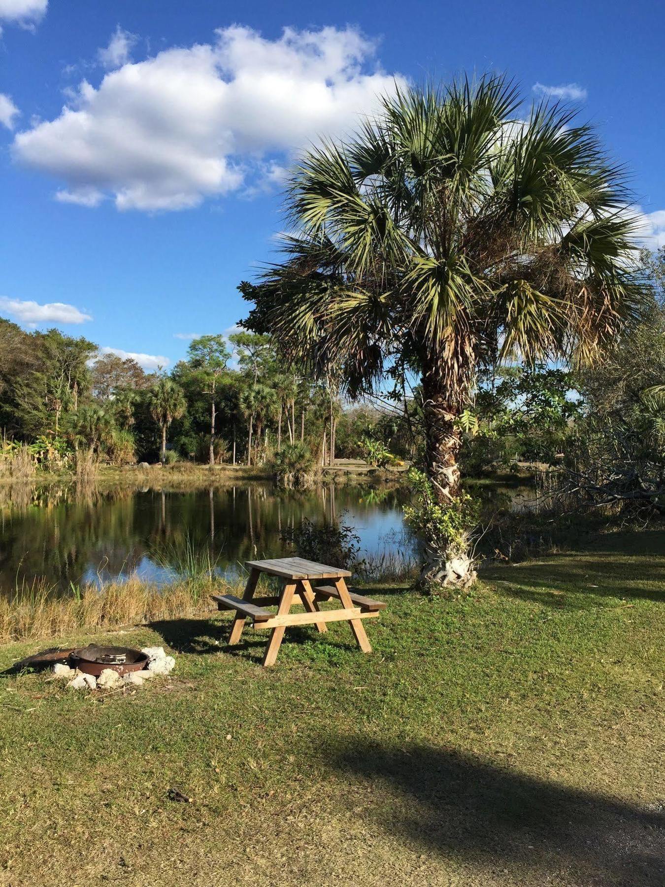 Everglades Chickee Cottage & Bungalow - Ochopee Ngoại thất bức ảnh